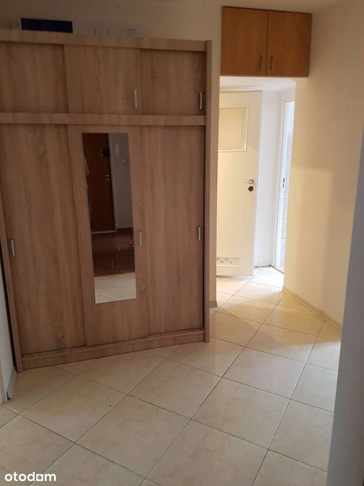 Mieszkanie 3-pokojowe blok z windą Jeżyce/Ogrody-8