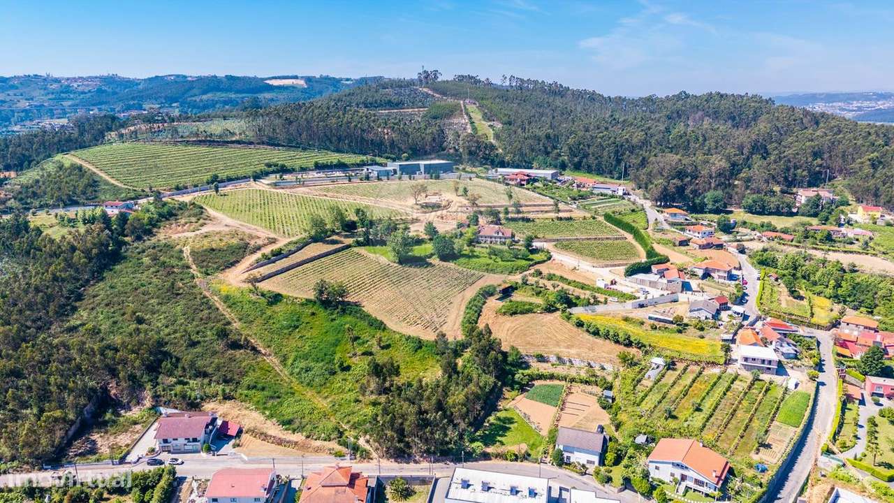 Quinta T11 para venda - Grande imagem: 5/25