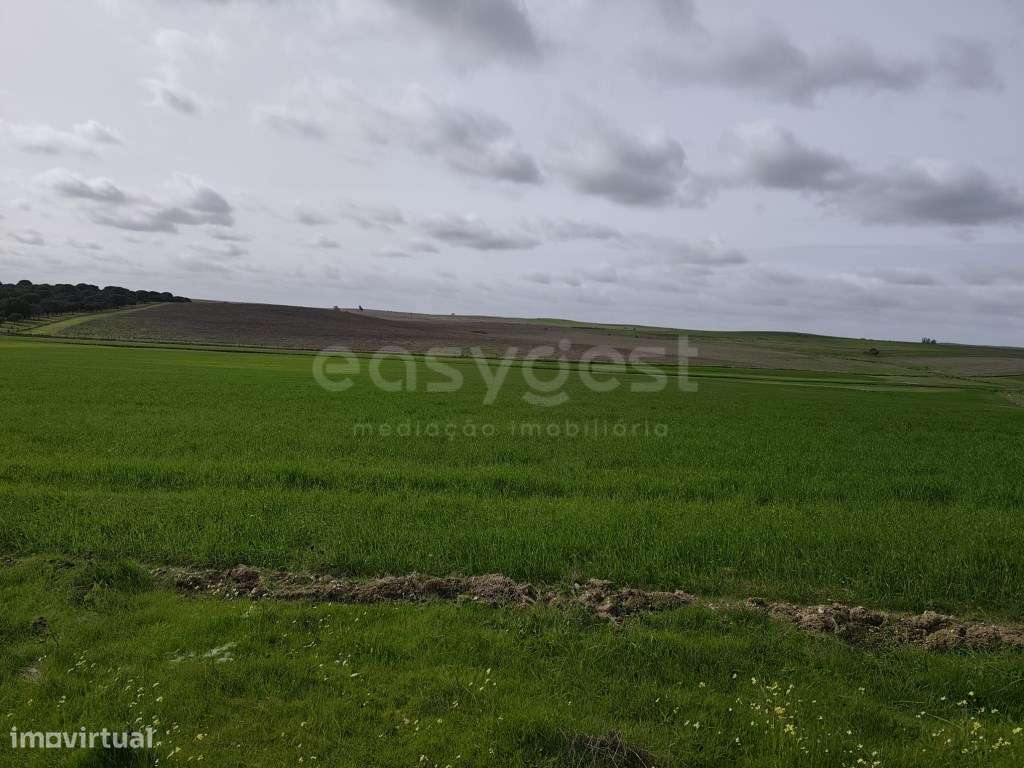 Terreno Rústico com área total de 10, 0375 ha, localizado na fregue... - Grande imagem: 5/19