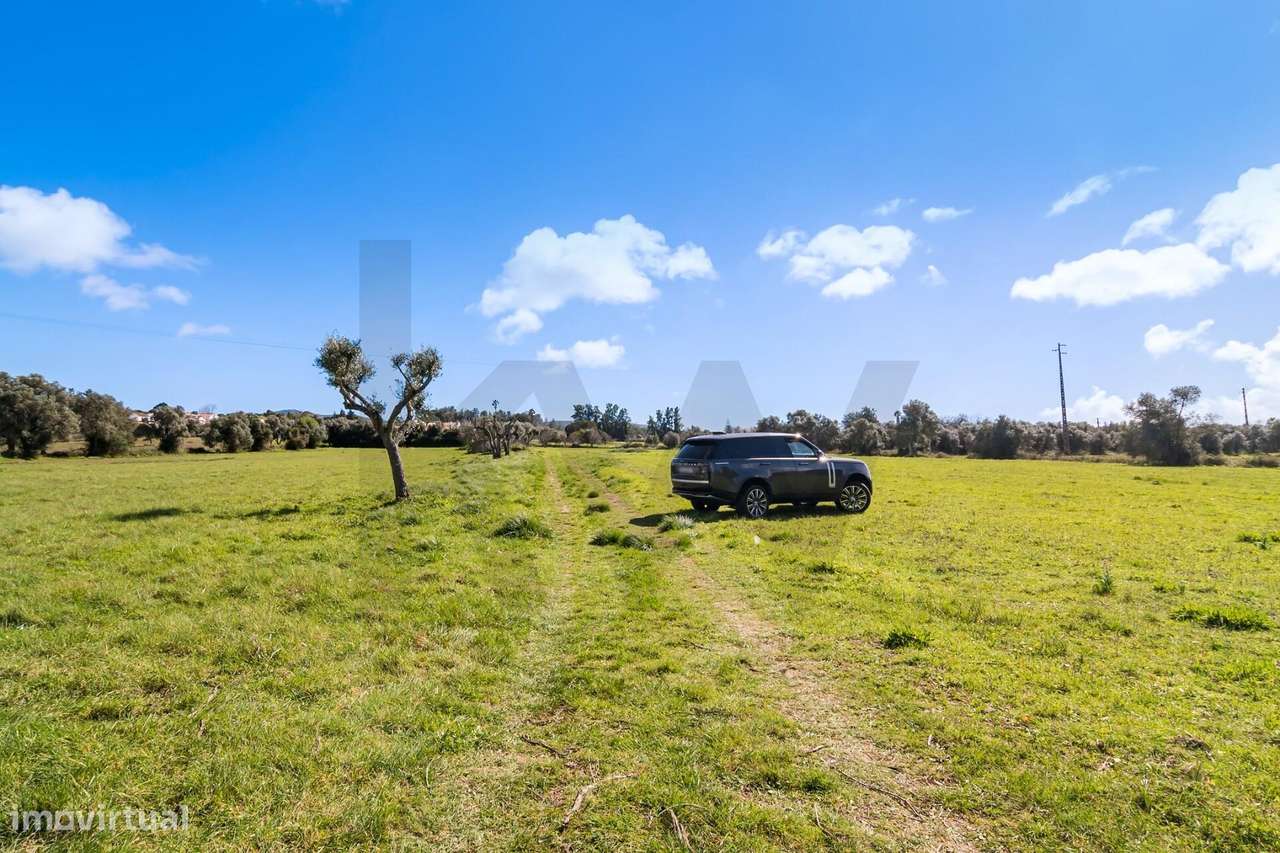 Terreno com PIP aprovado para reconstrução de moradia T2+1 - Grande imagem: 5/27