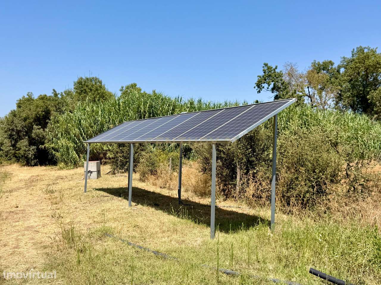 Herdade de Pandeira, Vinha e Olival em Produção em Reguengos de Monsar-26