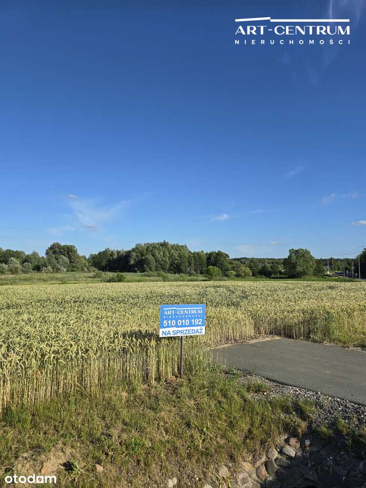 3586 m² Przestrzeń i świetna lokalizacja! - Pełny obrazek: 1/4