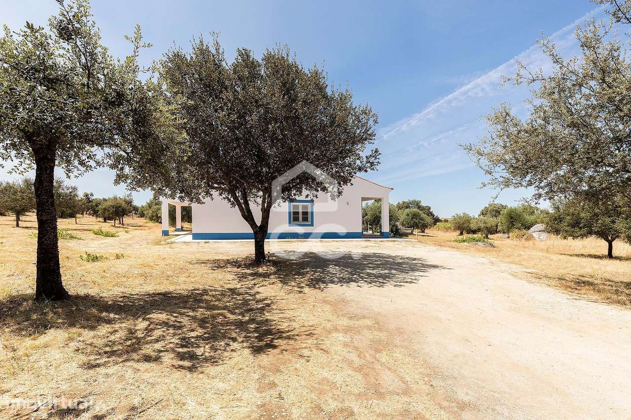 Quinta de 1,29 ha c/ Moradia T4 e Piscina | Reguengos de Monsaraz, Évo-48