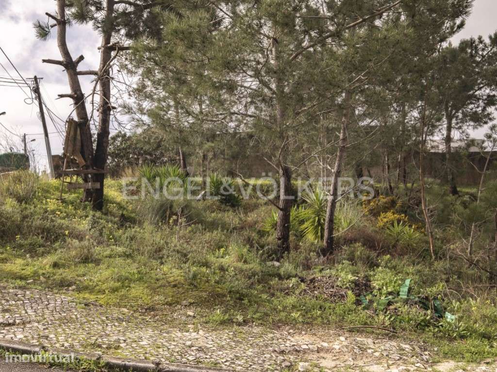 Terreno Para Construção na Charneca de Caparica - Grande imagem: 4/21