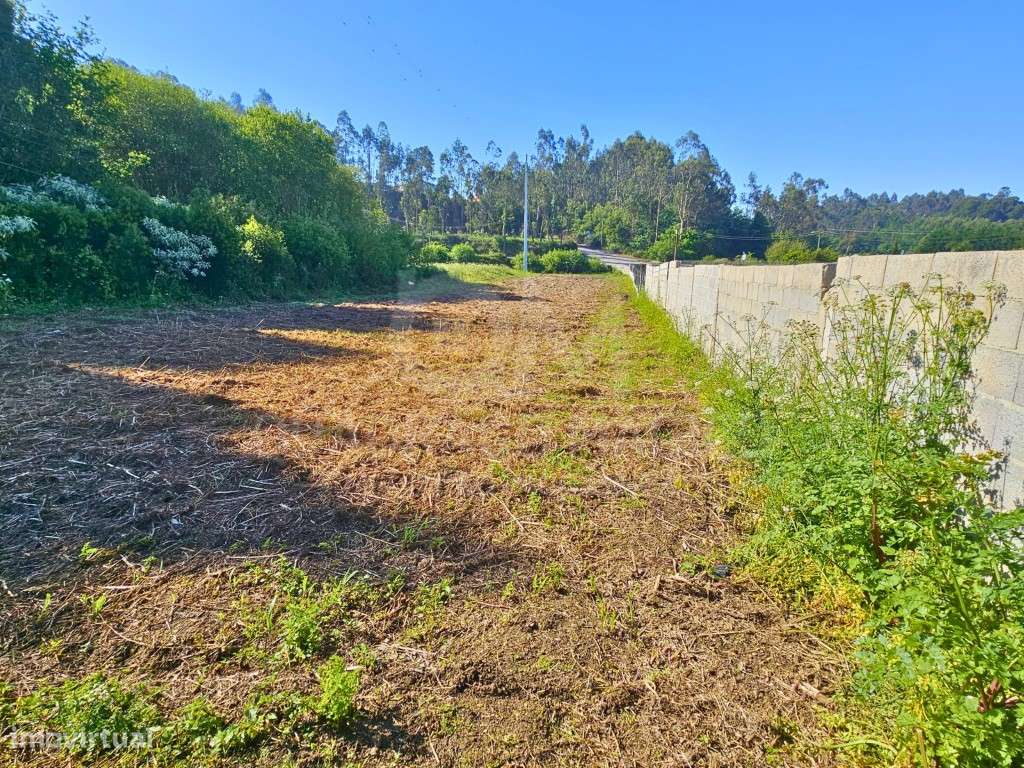 Oportunidade de Investimento Agrícola: Terreno de 1.800 m² com Pote... - Grande imagem: 2/10