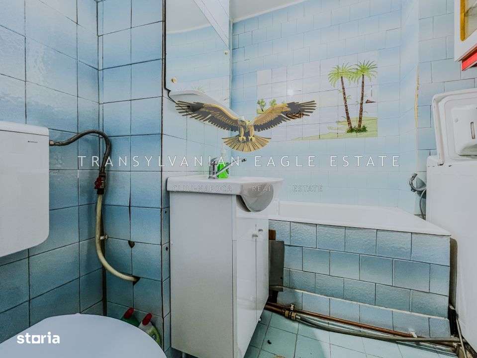 Locuinta decomandata cu 2 camere|situata pe A. Vlahuta|Grigo-9