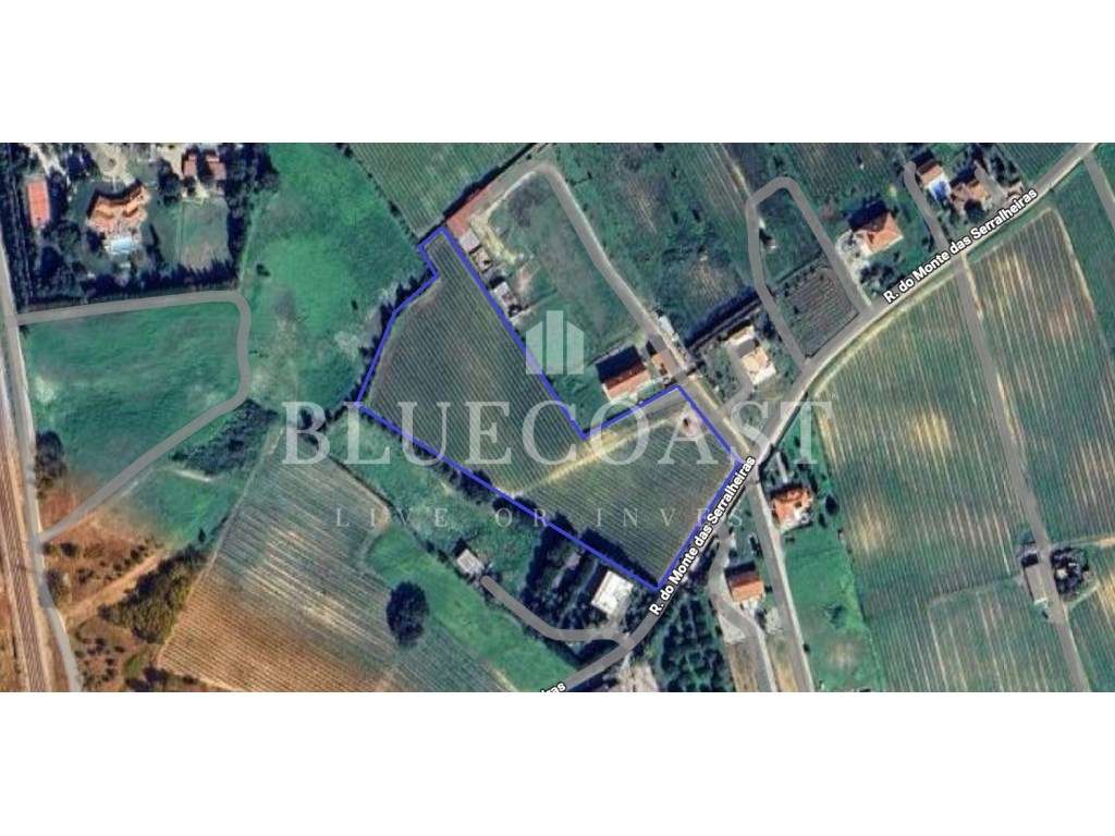 Terreno Rústico com Vinha e PIP Aprovado - Palmela-4