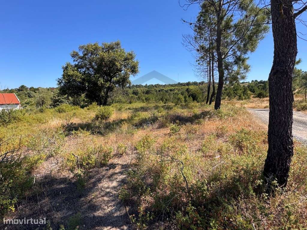 TERRENO URBANO EM COINA | 523,50 m² | POTENCIAL PARA 2 MORADIAS GEM...-0