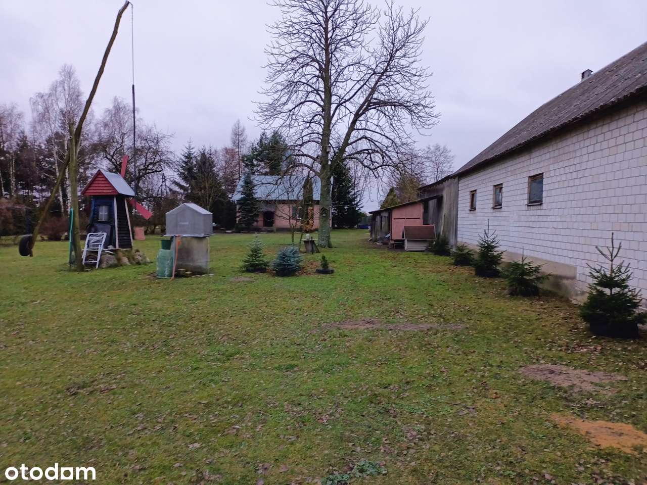 Urokliwe siedlisko z lasem CENA DO NEGOCJACJI - Pełny obrazek: 4/17