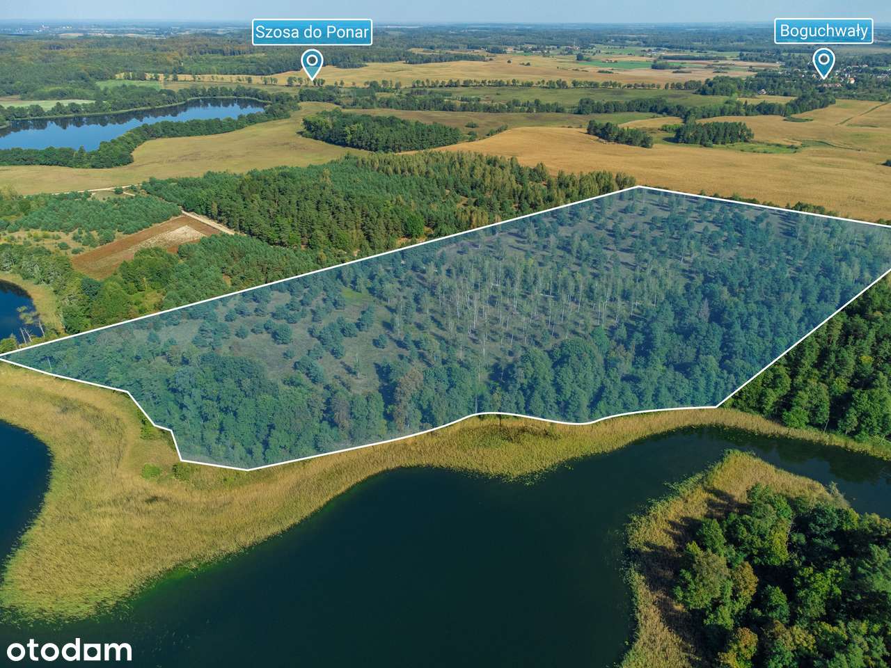 Jez. Narie Mazury 15ha na rezydencję lub 31 domów - Pełny obrazek: 4/20