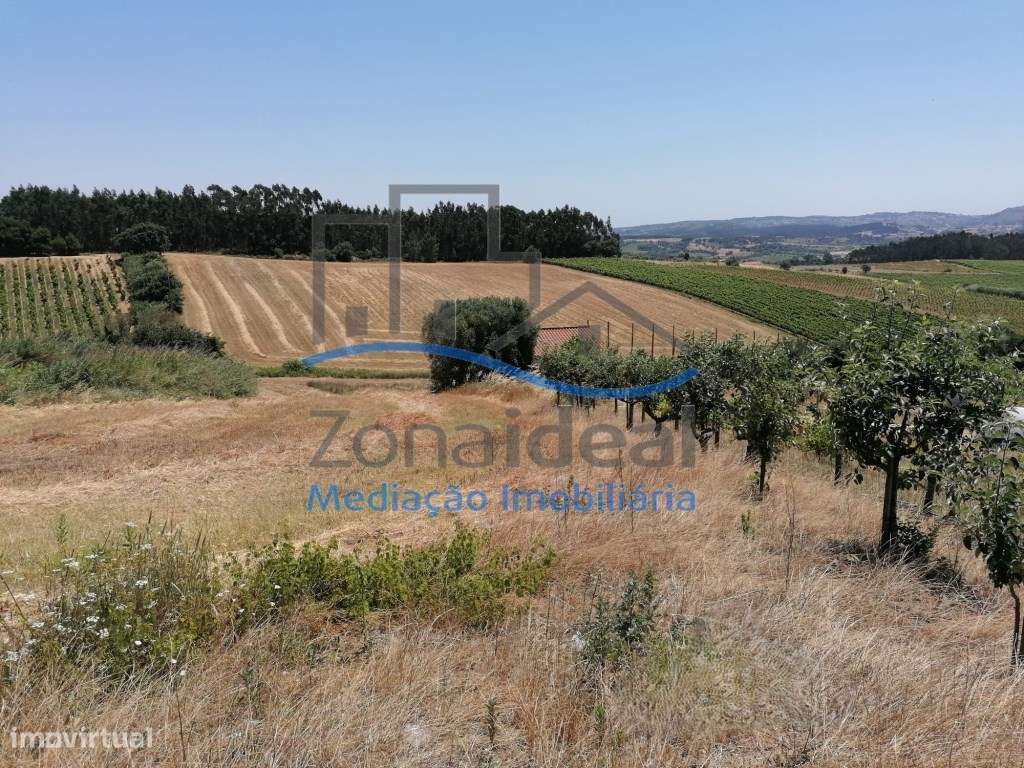 Terreno localizado em Penafirme da Ventosa, Alenquer-16