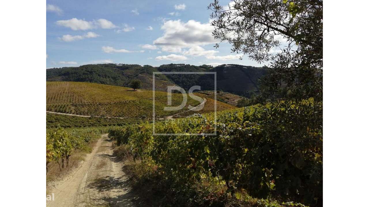 Quinta da Cumeira-14