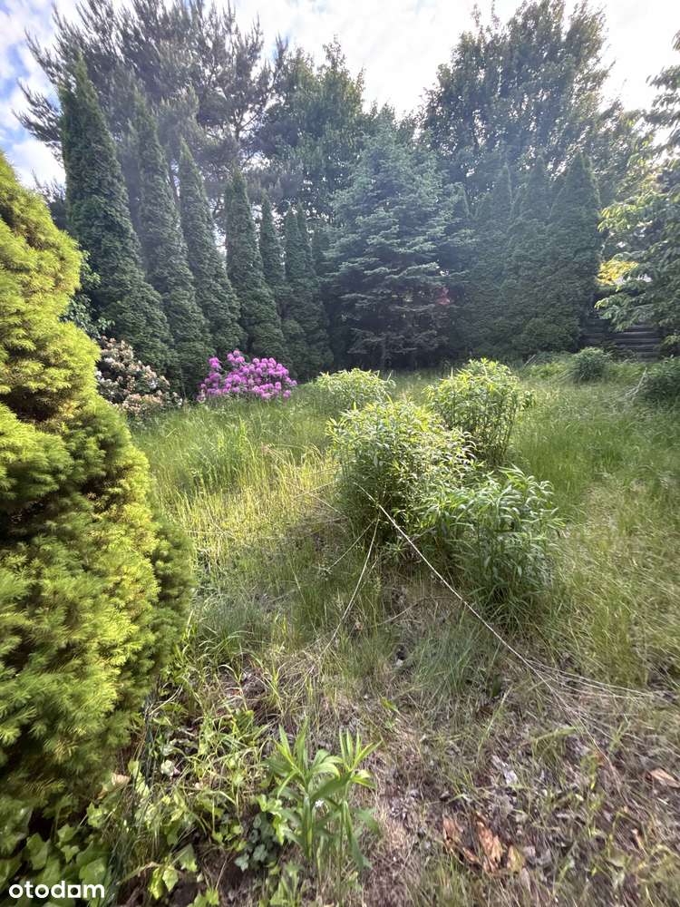 Stary Grunwald Willa 2-mieszkaniowa 627 m2, garaż, ogród-7