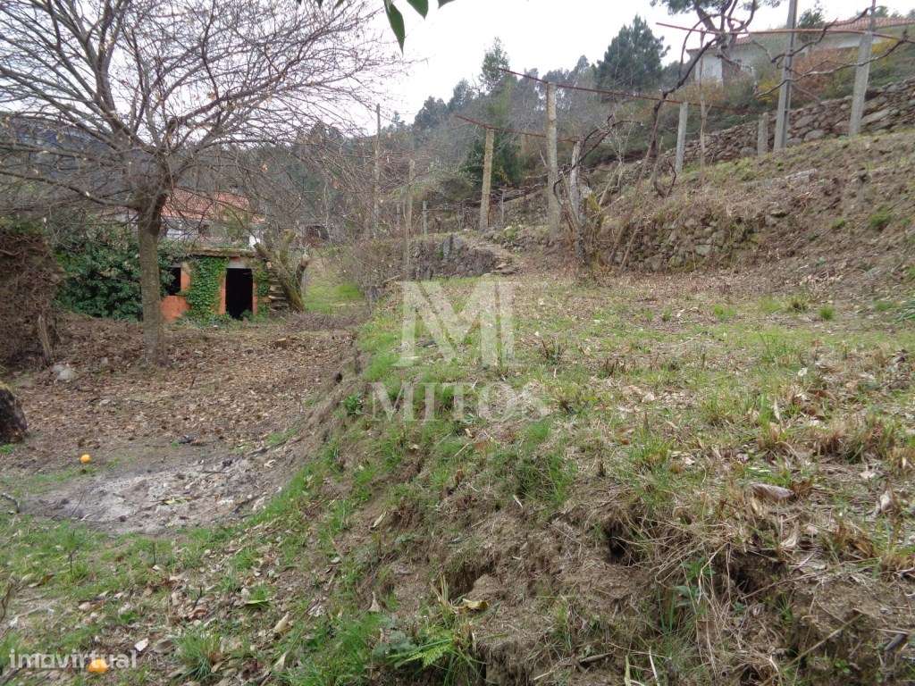 Terreno com ruina para venda na Labruja - Ponte de Lima - Grande imagem: 5/16