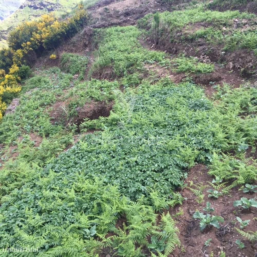 Terreno rústico 2.229m2 - Grande imagem: 5/11