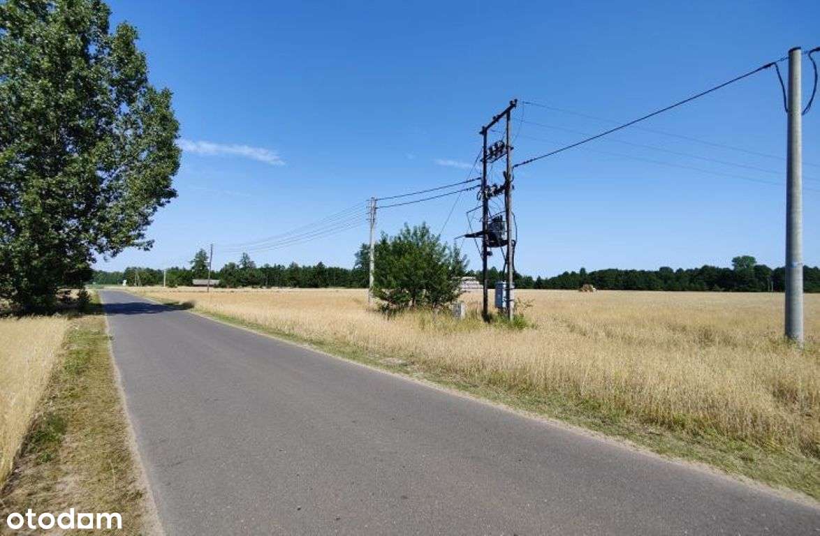 Duża działka z warunkami zabudowy w okolicy lasów - Pełny obrazek: 5/5