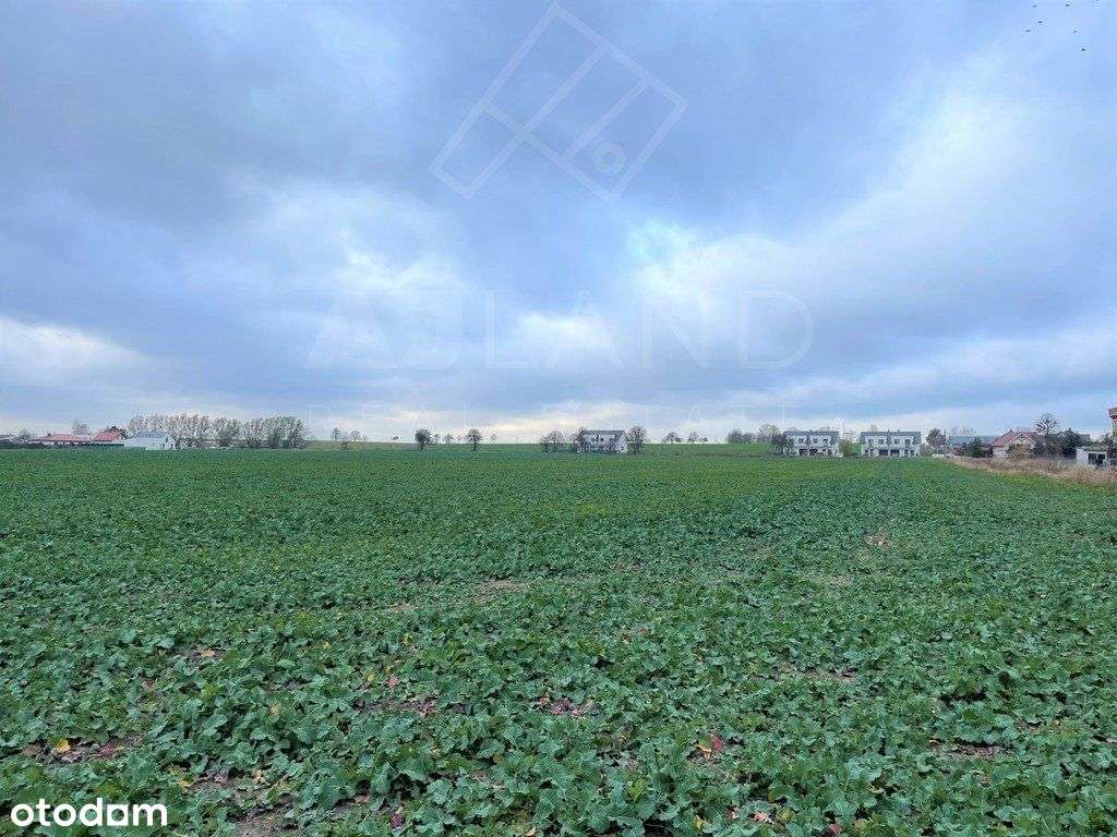 Atrakcyjna działka budowlana w Bogdanowie! - Pełny obrazek: 5/7