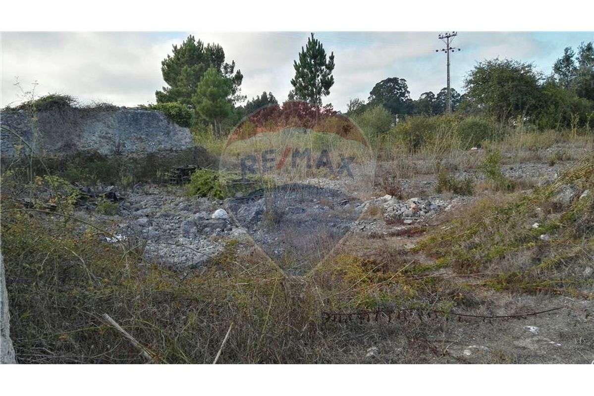 Terreno  para venda - Grande imagem: 4/4