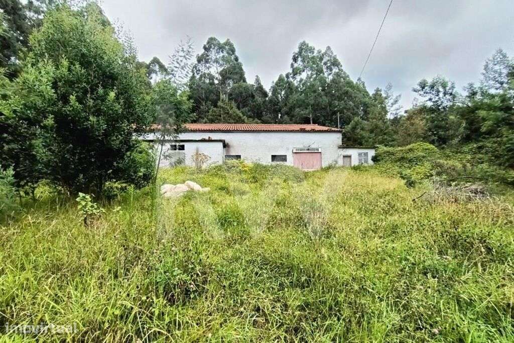 Terreno + Armazém  com 3030 m2, Localizado em Santana, Freguesia de S. - Grande imagem: 4/29