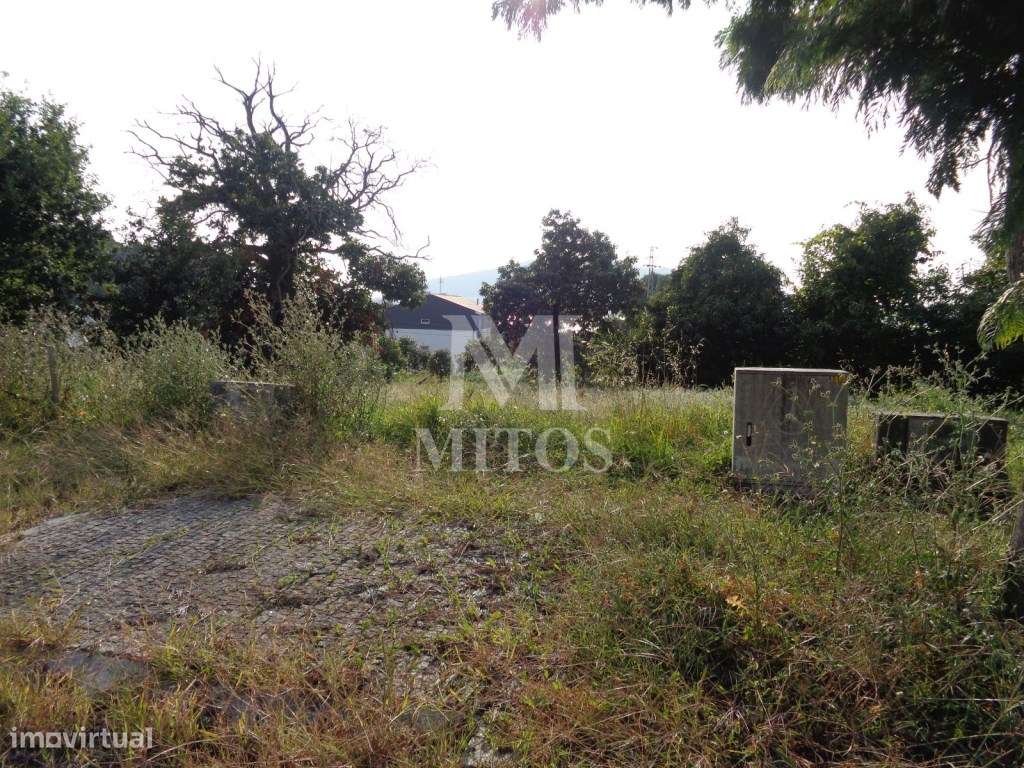 Lote p/ construção - Seixas - Grande imagem: 4/5