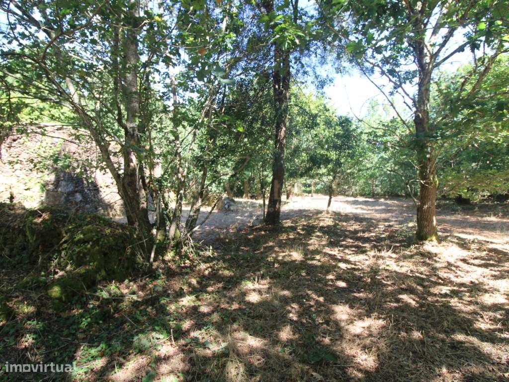 MORADIA-11