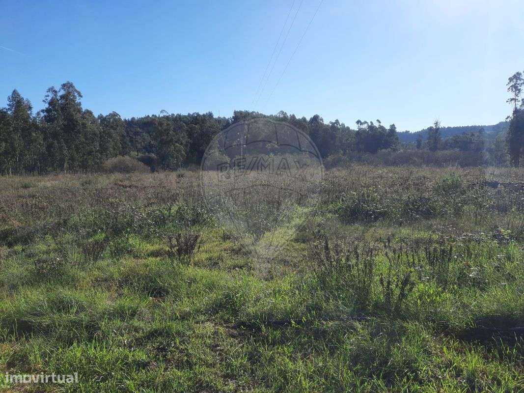 Terreno  para venda - Grande imagem: 4/5