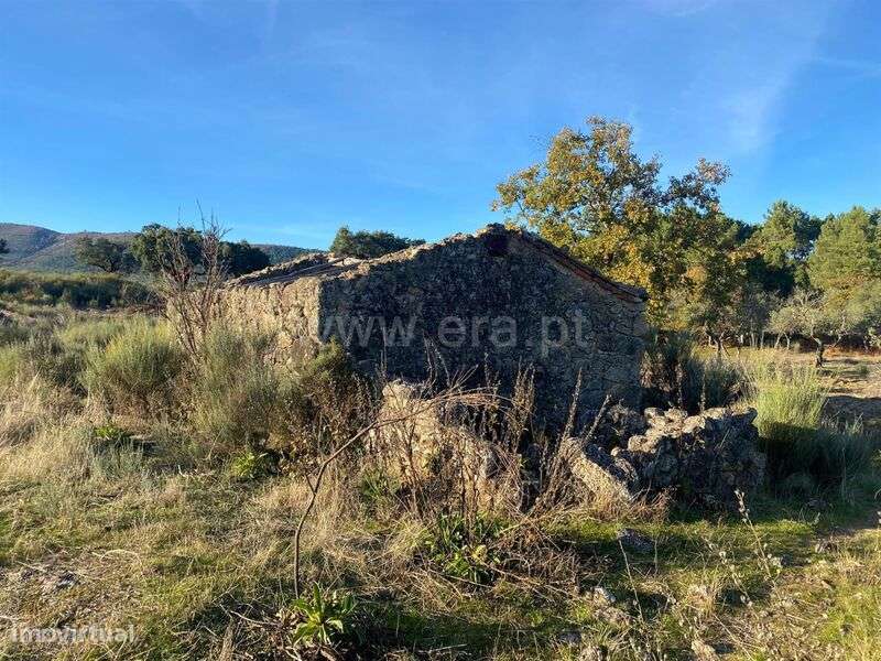 Quintinha T1 / Fundão, Vale Prazeres - Grande imagem: 2/12