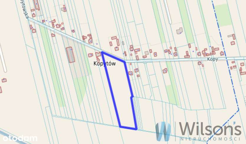 Działka inwestycyjna Kopytów, Błonie [mpzp, media] - Pełny obrazek: 4/7