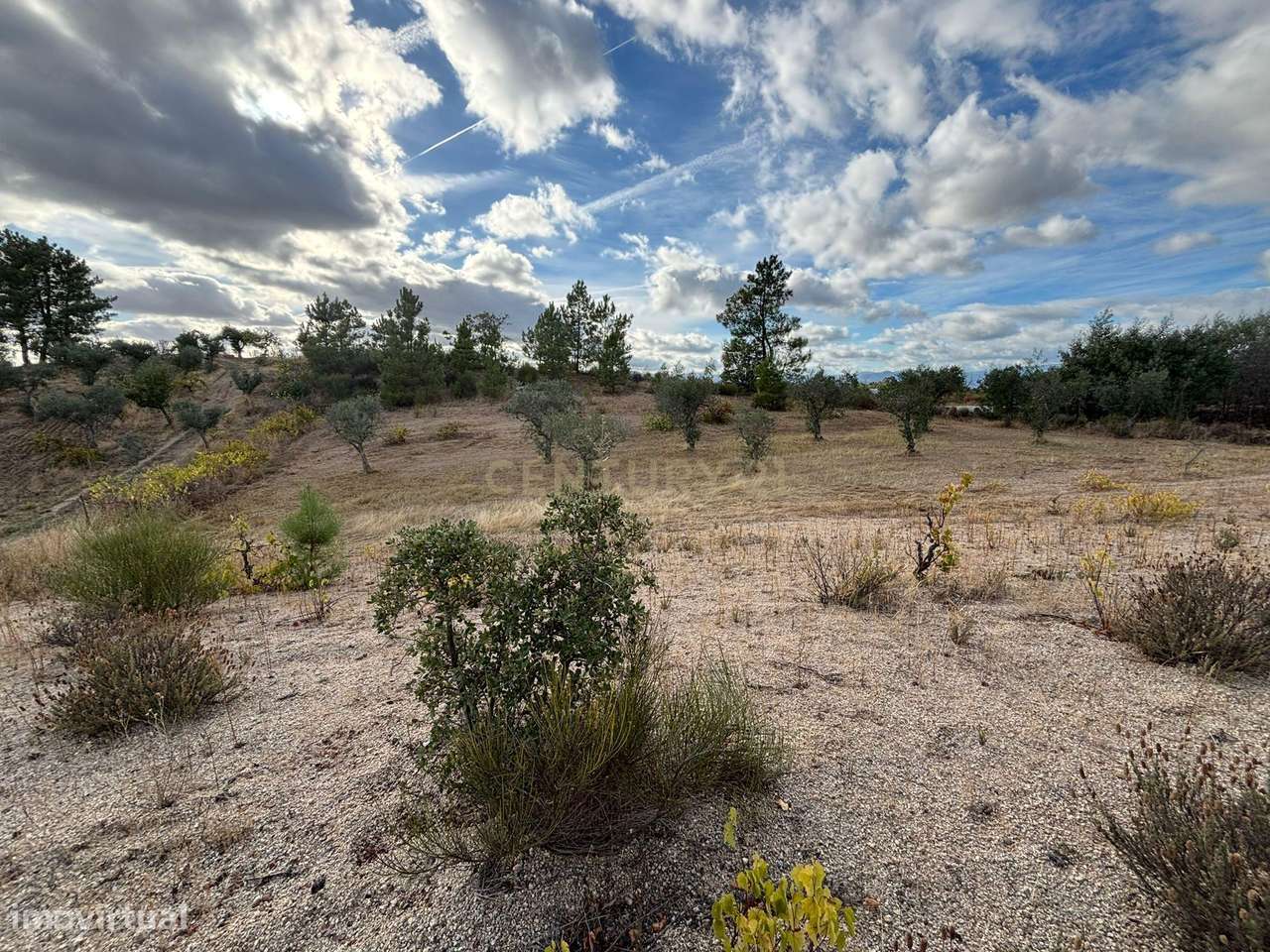 Terreno Rústico em Freixial e Juncal do Campo, Castelo Branco - Grande imagem: 5/12