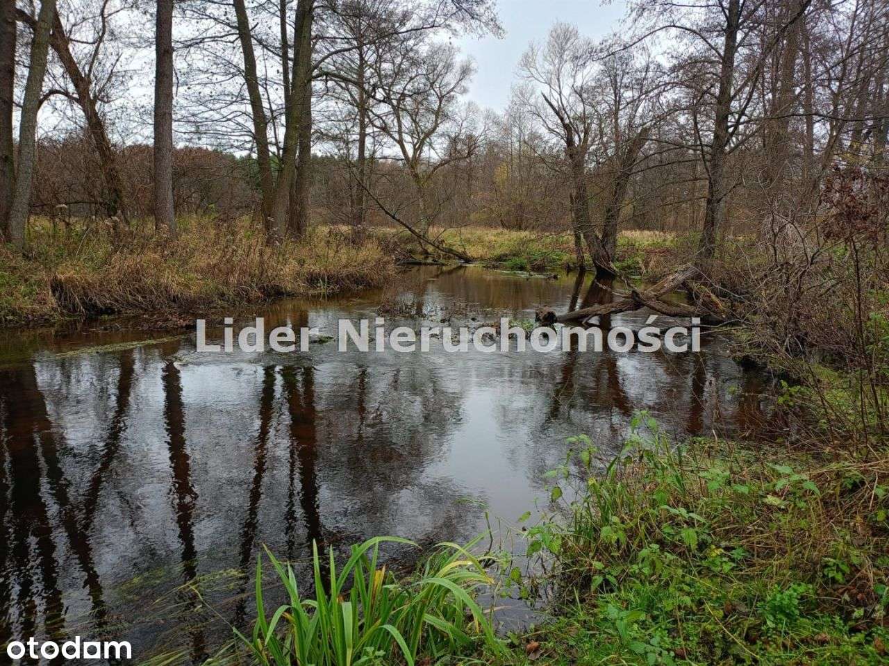 Sielska działka budowlana w Ldzaniu ! Widok na las i rzekę.-2