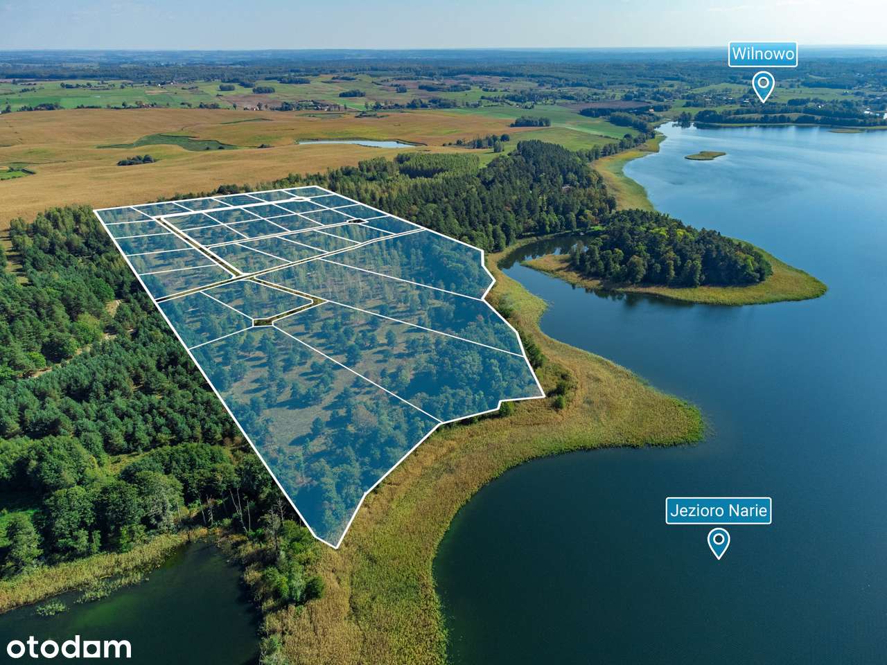 Jez. Narie Mazury 15ha na rezydencję lub 31 domów - Pełny obrazek: 5/20