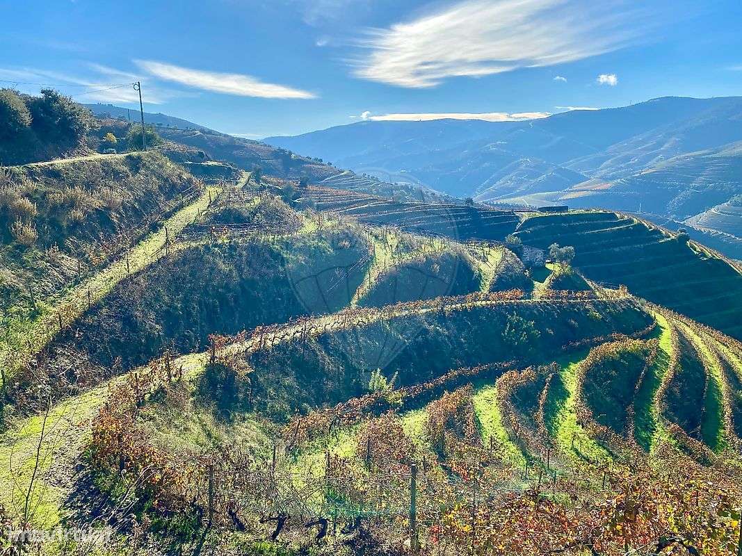 Quinta  para venda - Grande imagem: 2/27