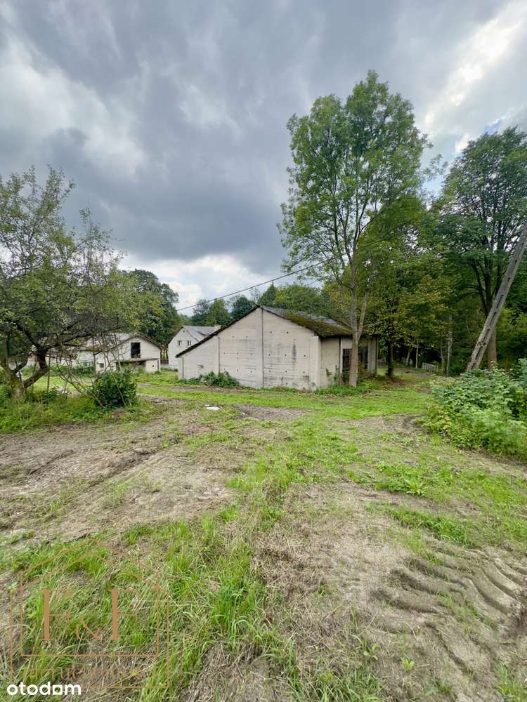 ** Działka pod zabudowę w samym sercu lasu **-4