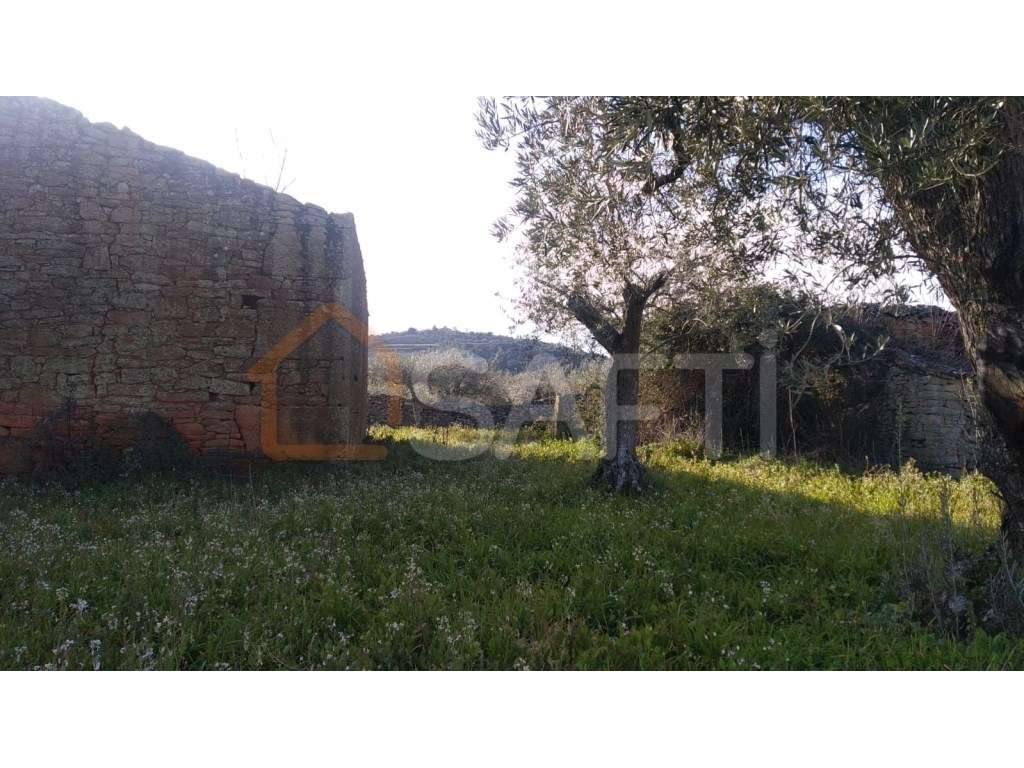 Quinta em Azêvo - Pinhel - Guarda - Grande imagem: 3/60