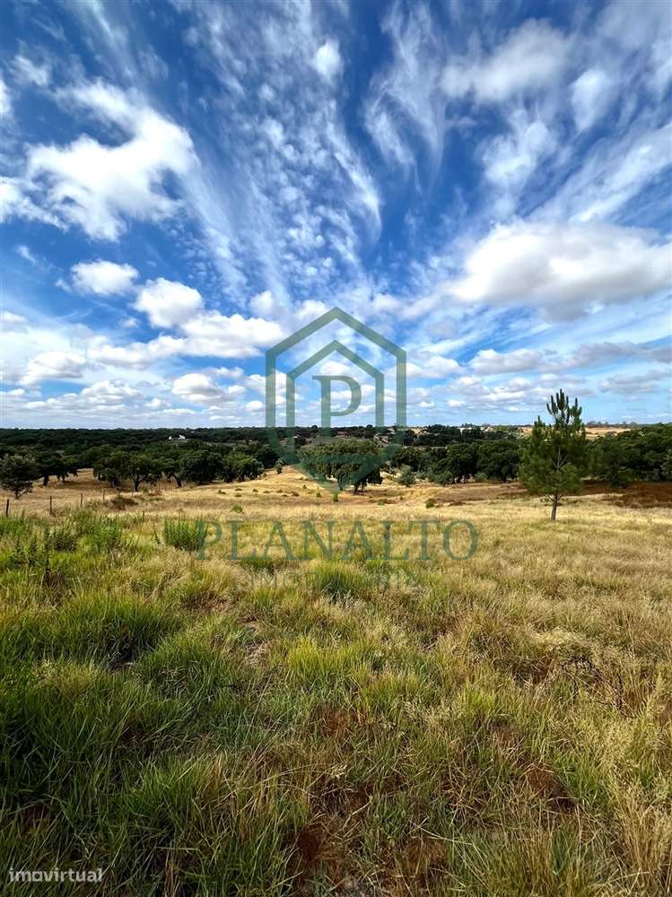 Quinta >=T10 Venda em Cortiçadas de Lavre e Lavre,Montemor-o-Novo-8