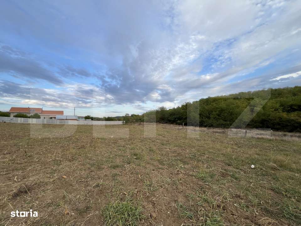 Teren in Filiasi 1000 mp / 30 ml front, toate utilitatile - Imagine principală: 4/6