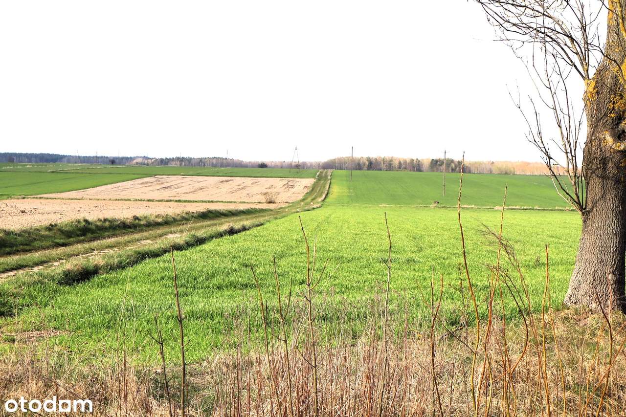 Ziemia rolna pod inwestycje, bez MPZP, gmina Przesmyki - Pełny obrazek: 3/6