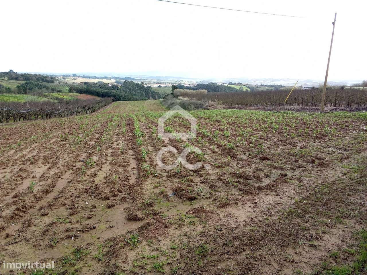 Terreno Rústico para venda com 9360m2 (urbanizável) em Carvalhal, Bomb-4