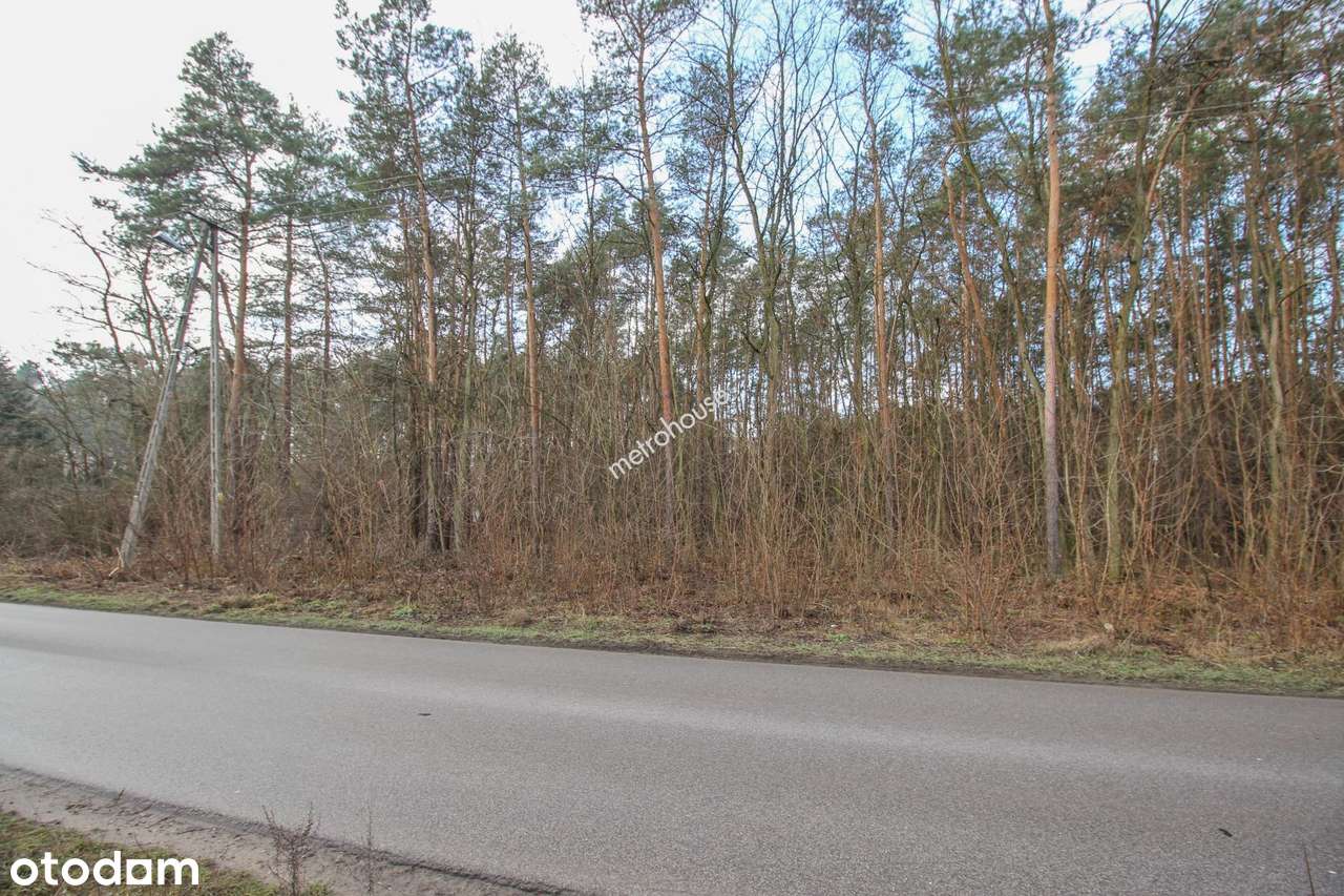 Działka budowlana 1690mkw dojazd asfaltowy. - Pełny obrazek: 3/6