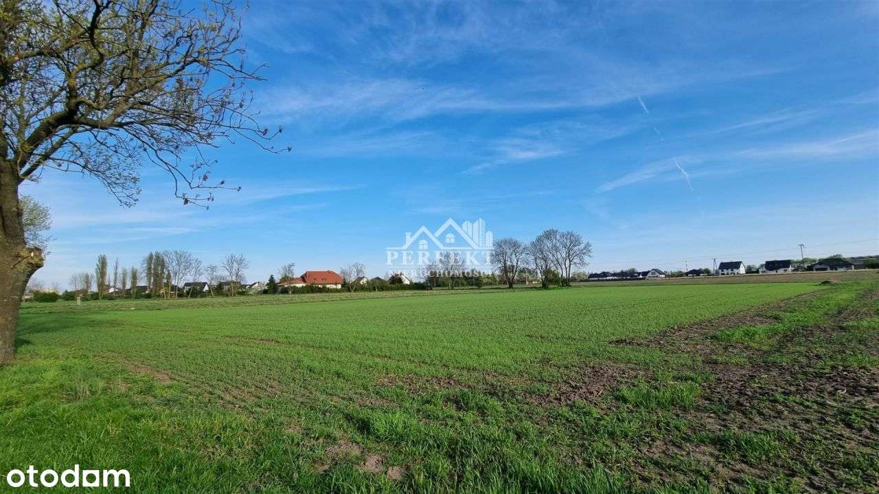 ul.Batkowska ~ działka 3.722m2 ~ dla Inwestora ! - Pełny obrazek: 3/5