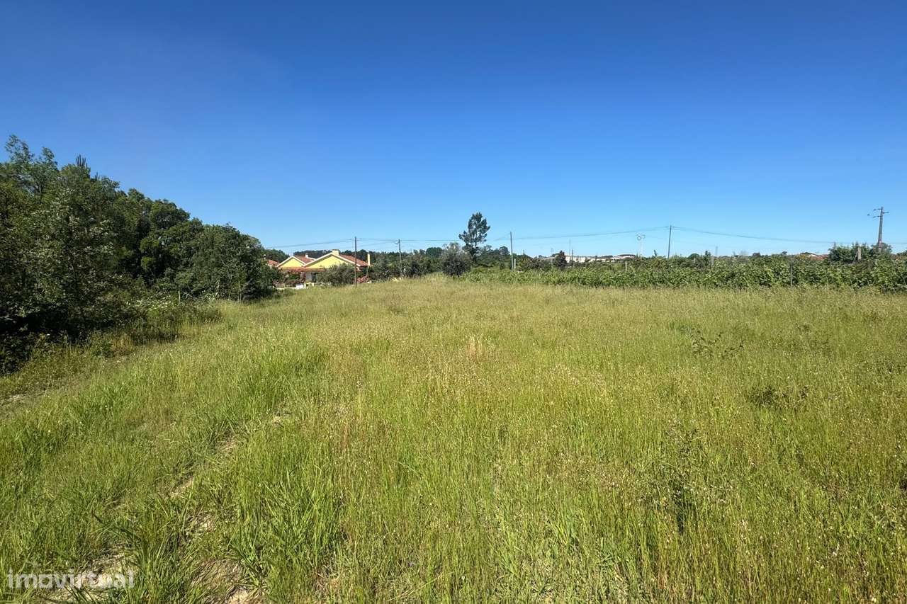 Terreno com viabilidade de construção em São Lourenço do Bairro-4