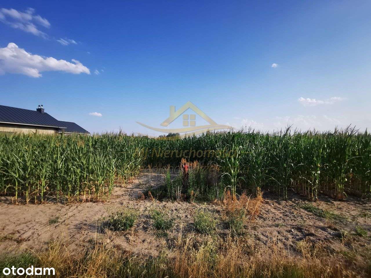 Działka Przy Asfalcie 3681m2-3