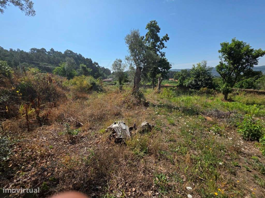Terreno para construção de moradia T3 com projeto aprovado-4
