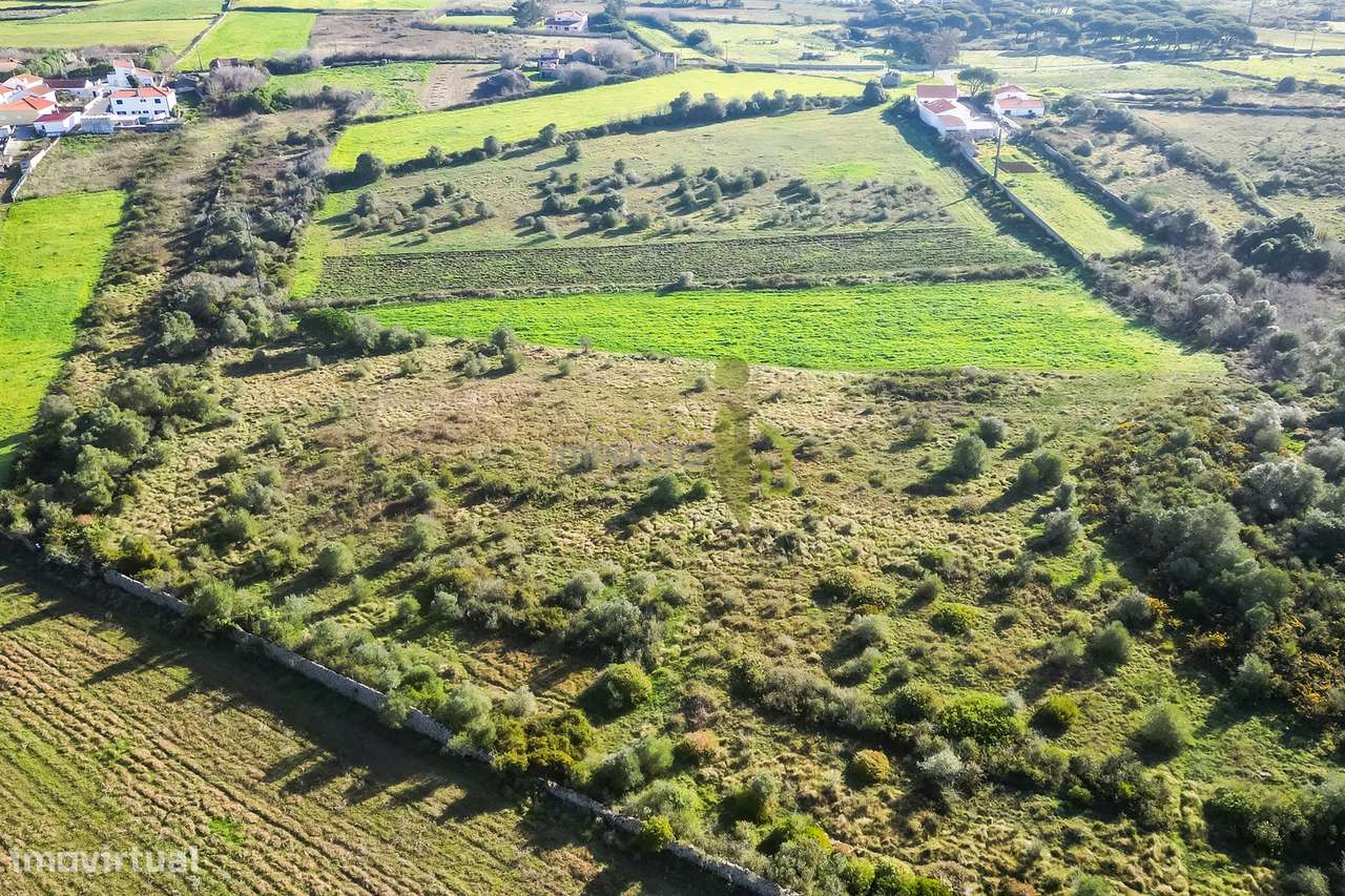 Terreno Rústico com 6 Hectares | São João das Lampas e Terrugem – Sint-8