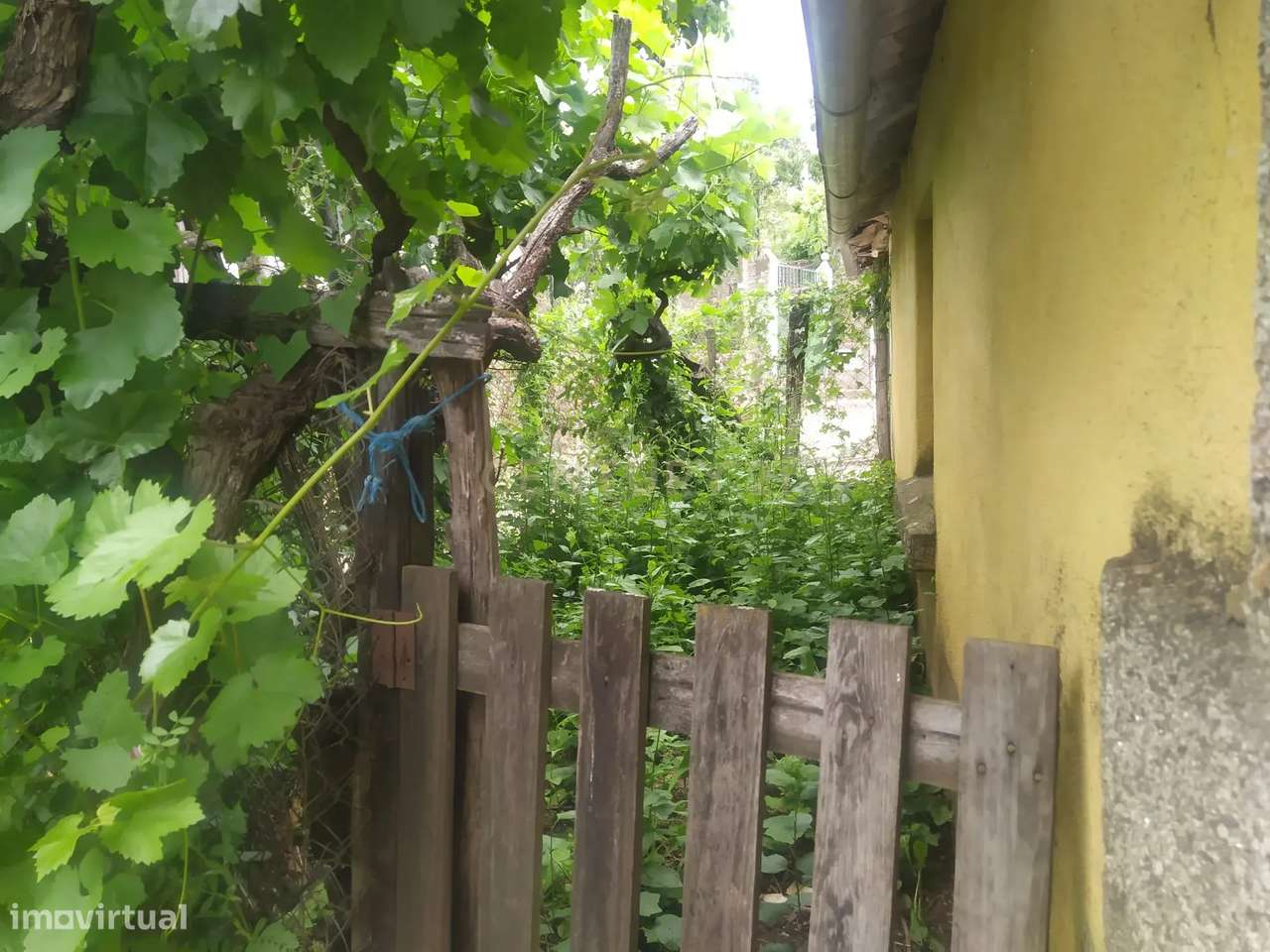 Moradia T3 para Recuperação em Meixedo, Bragança - Oportunidade Única! - Grande imagem: 4/19