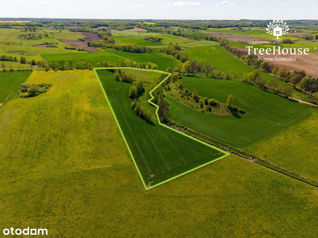 Działka rolna w Kabinach - Pełny obrazek: 4/14