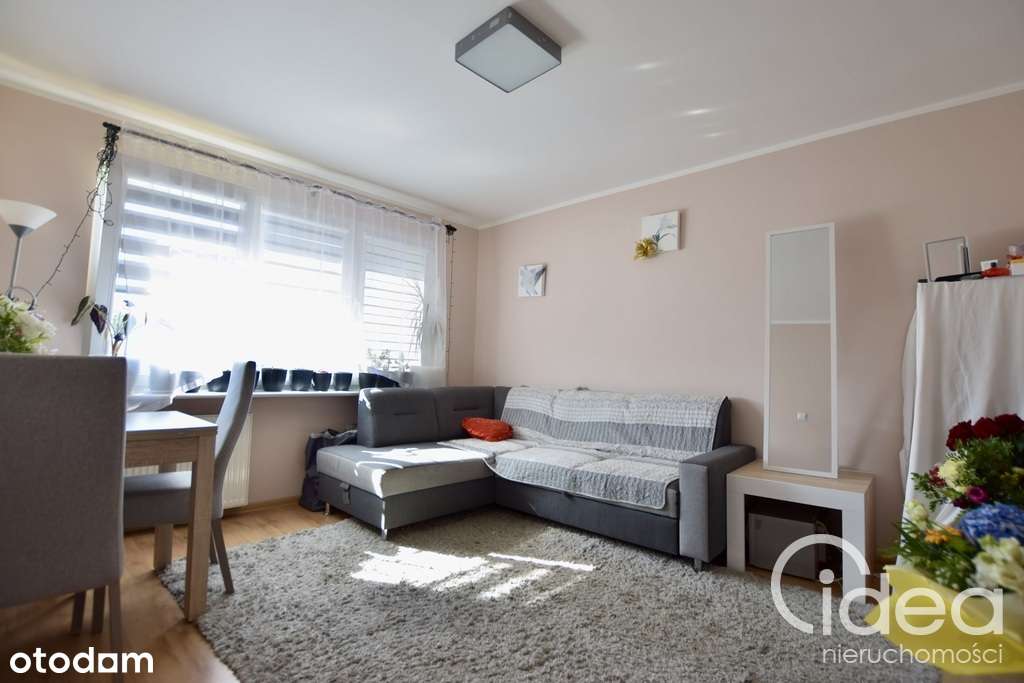 2 pokoje, wśród zieleni na Pomorzanach-0