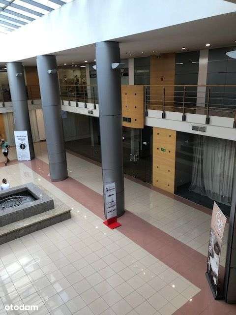 lokal usługowy, komercyjny - Pełny obrazek: 2/11