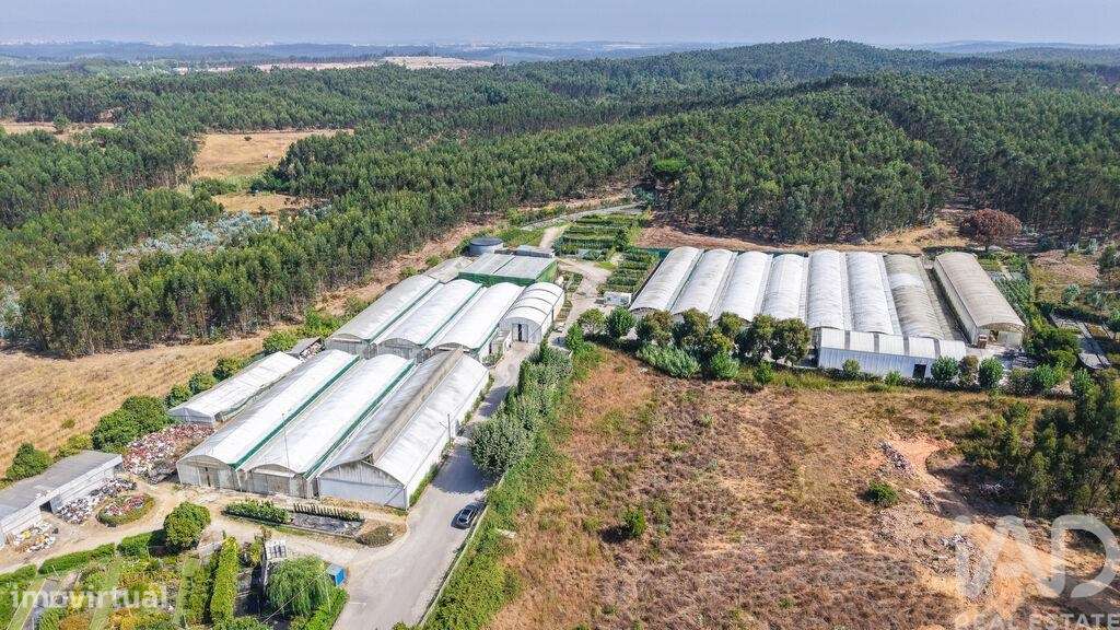 Loja / Estabelecimento Comercial em Ramalhal de 8000,00 m2 - Grande imagem: 4/29