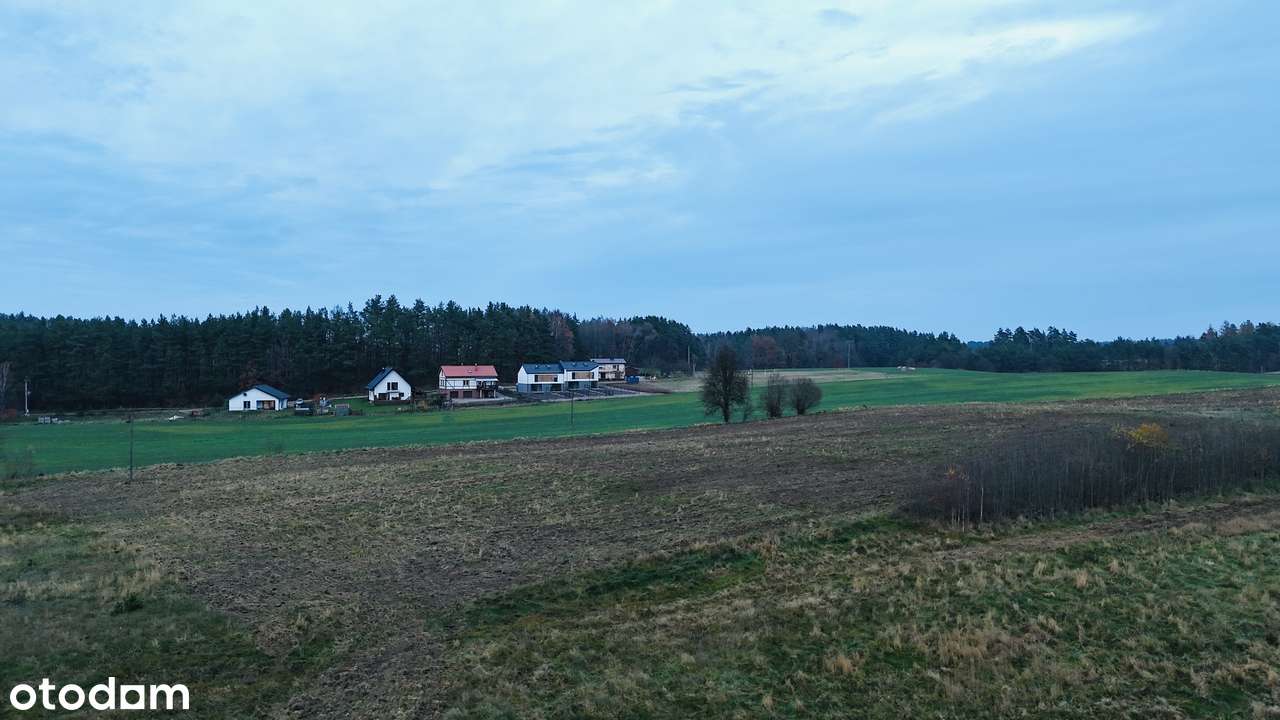 Robakowo- na sprzedaż działka 1723 m² z warunkami zabudowy !!! - Pełny obrazek: 4/10